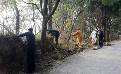 消防-佛协组织全山寺院开展森林消防安全清理活动