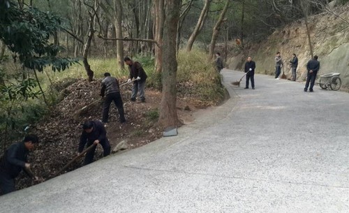 消防-佛协组织全山寺院开展森林消防安全清理活动