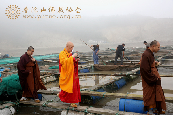 佛教-会长道慈大和尚赴登步岛举行放生活动