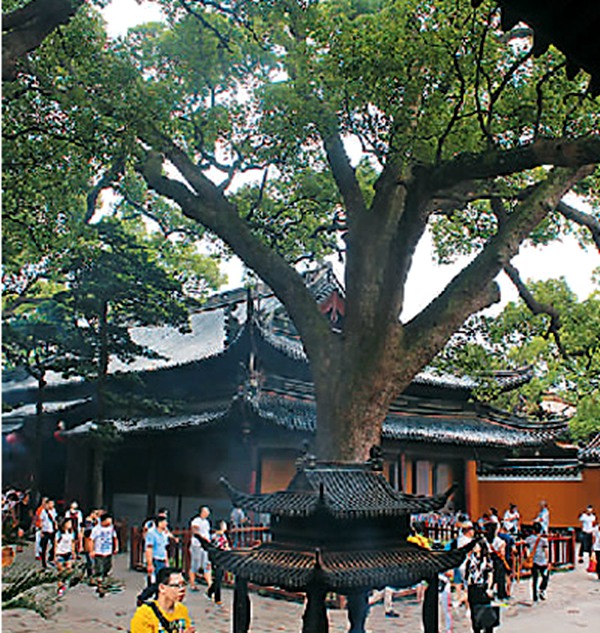 佛教-走进寺观教堂