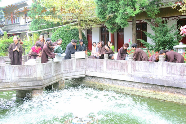 佛教-慧济禅寺圆满举行放生活动
