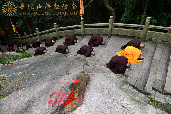 普陀山-第十三届普陀山南海观音文化节“佛顶顶佛”朝拜法会
