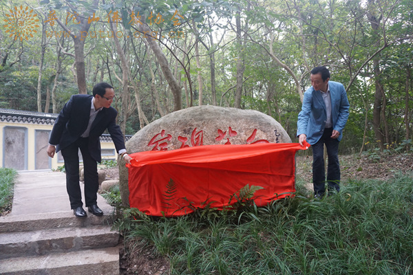 普陀山-第十三届普陀山南海观音文化节“白华碑岭”落成仪式