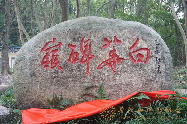 普陀山-第十三届普陀山南海观音文化节“白华碑岭”落成仪式