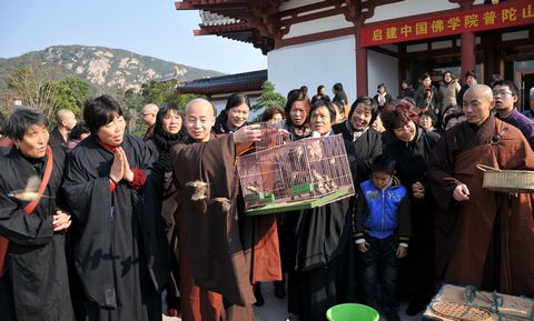 佛教-中国佛学院普陀山学院启建首届弥陀法会