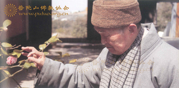 佛教-追忆白光长老（附治丧委员会名单）