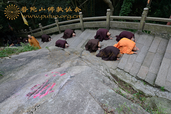 佛教-第十四届普陀山南海观音文化节“佛顶顶佛”朝拜法会