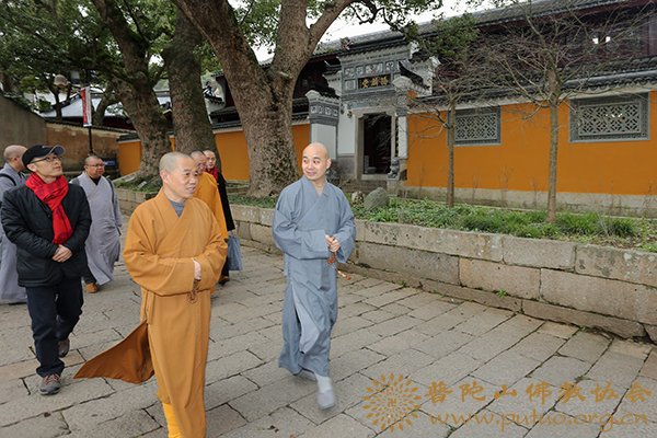 佛教-中佛协驻会副会长、成都文殊院方丈宗性大和尚一行来我会参访交流