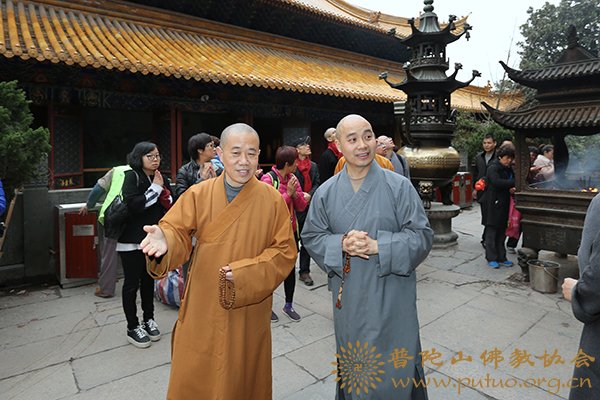 佛教-中佛协驻会副会长、成都文殊院方丈宗性大和尚一行来我会参访交流