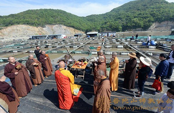 佛教-会长道慈大和尚在登步岛主持放生活动