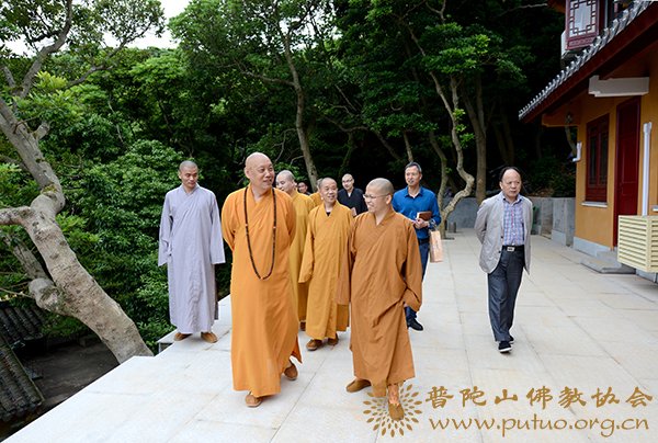 佛教-会长道慈大和尚一行视察洛迦山寺院建设工作