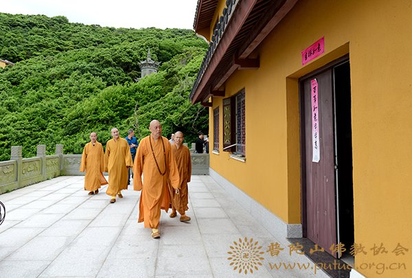 佛教-会长道慈大和尚一行视察洛迦山寺院建设工作