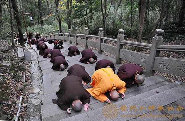 普陀山-第十届普陀山南海观音文化节“僧尼礼佛顶、万信齐朝拜”法会