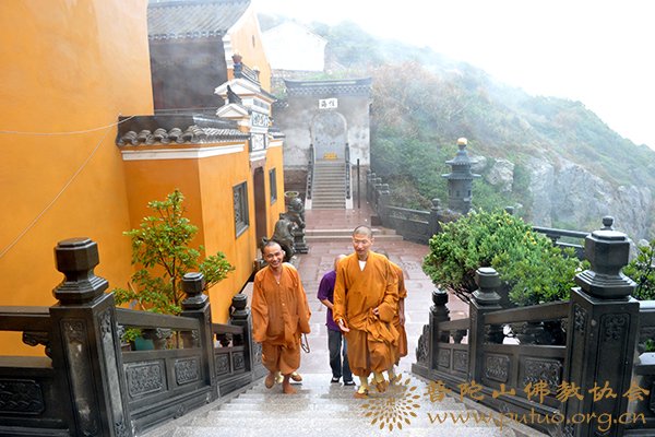 台风梅花-台风“梅花”逼近  佛协上下齐心
