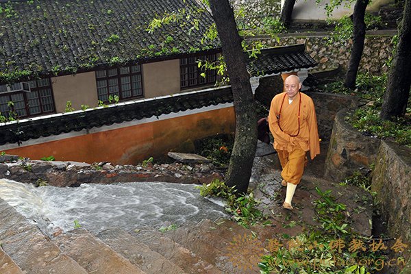 台风-道慈会长一行到各寺院查看“海葵”台风影响情况