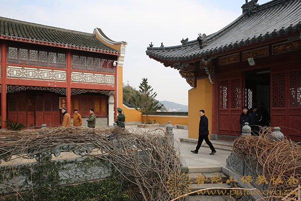 普陀山-普陀山佛教协会联合多部门检查全山寺院安全保障工作