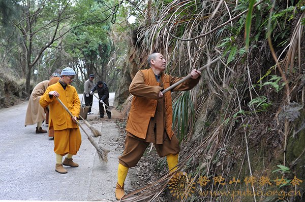 消防-佛协积极参与管委会开展冬春森林消防安全清理活动