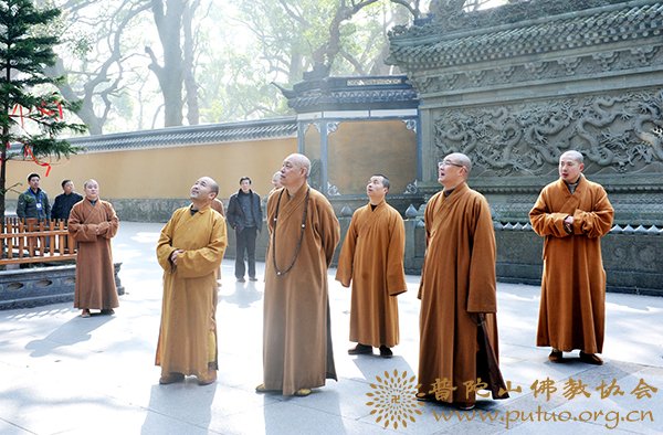佛教-道慈会长一行赴全山各寺庵进行新春慰问 佛教-道慈会长一行赴全山各寺庵进行新春慰问