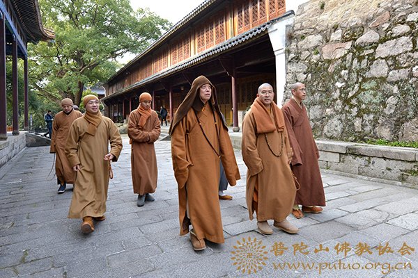 佛教-会长道慈大和尚一行赴全山各寺院走访慰问