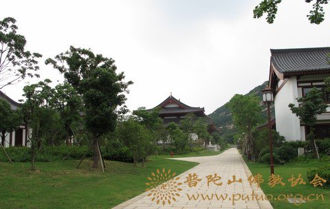 普陀山-中国佛学院普陀山学院喜获“全国绿化模范单位”荣誉称号