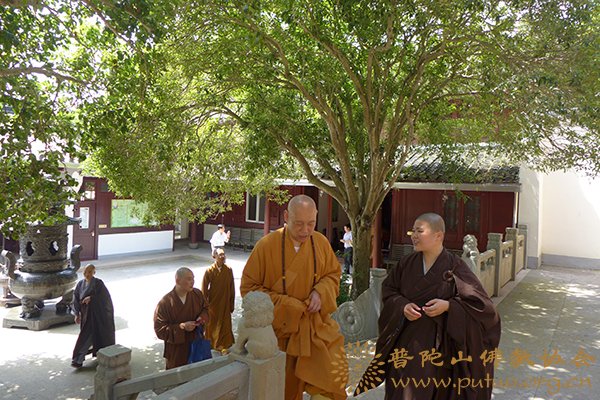 佛教-道慈会长赴本山敬老院和佛教颐养堂端午节慰问