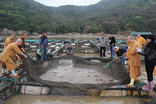 放生仪轨-慧济禅寺圆满举办2014年度放生活动