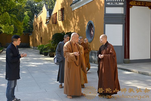 佛教-会长道慈大和尚赴悦岭禅院看望关和尚