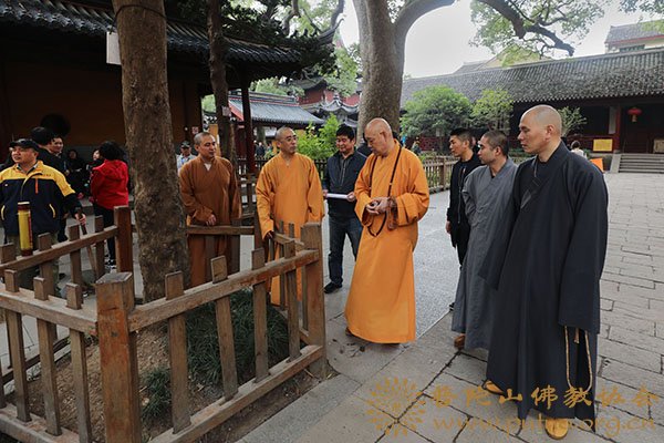 佛教-会长道慈大和尚一行赴全山各大寺院走访慰问