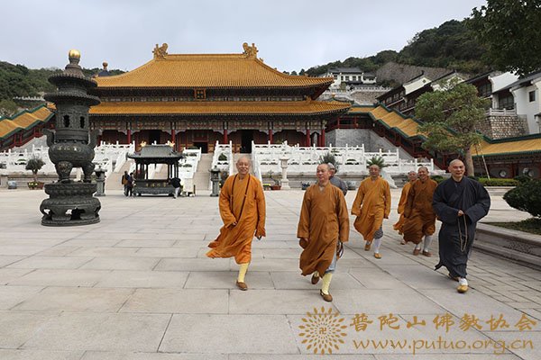 佛教-会长道慈大和尚一行赴全山各大寺院走访慰问