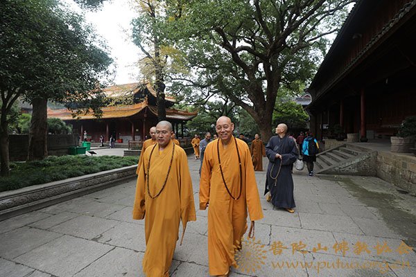 佛教-会长道慈大和尚一行赴全山各大寺院走访慰问