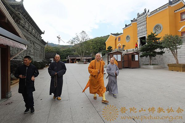 佛教-会长道慈大和尚一行赴全山各大寺院走访慰问