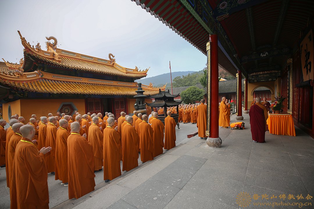 普陀山-普陀山三坛大戒得戒和尚上道下慈律师带领男众部众新戒三步一拜礼佛顶