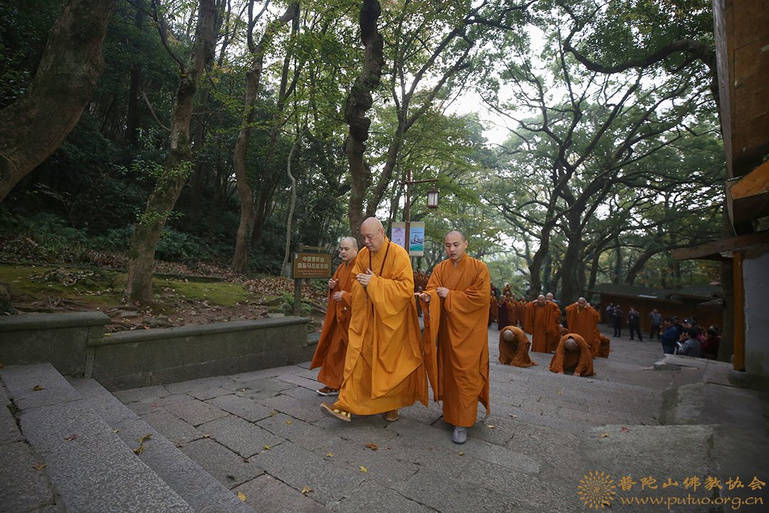 普陀山-普陀山三坛大戒得戒和尚上道下慈律师带领男众部众新戒三步一拜礼佛顶