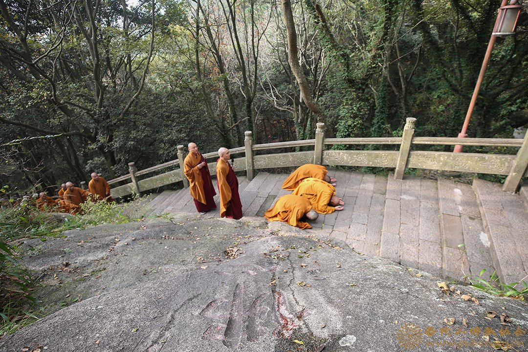 普陀山-普陀山三坛大戒得戒和尚上道下慈律师带领男众部众新戒三步一拜礼佛顶