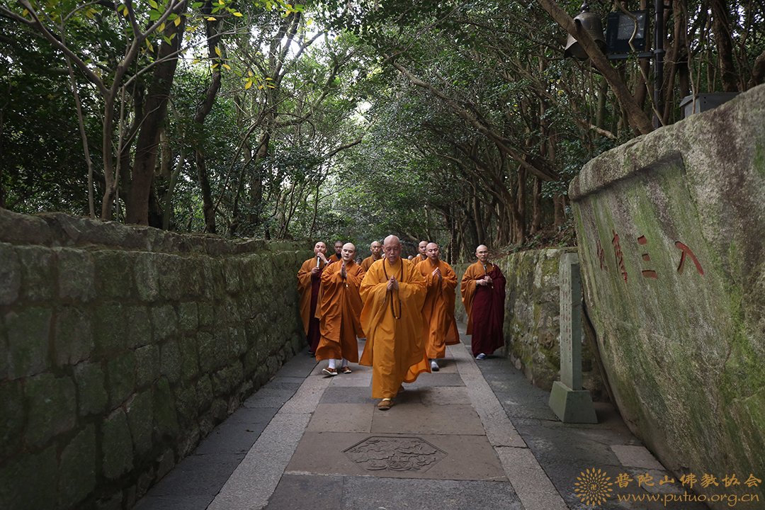 普陀山-普陀山三坛大戒得戒和尚上道下慈律师带领男众部众新戒三步一拜礼佛顶