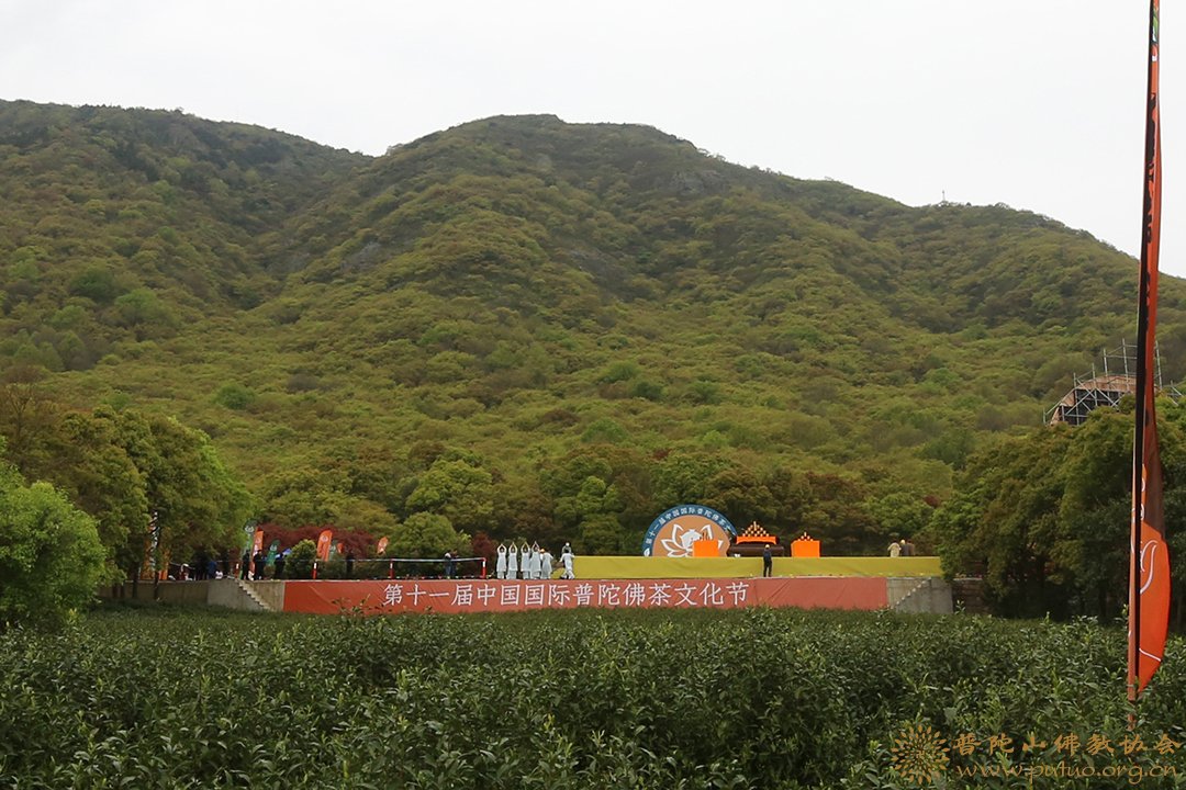 佛教-会长道慈大和尚一行出席第十一届中国国际普陀佛茶文化节开幕式