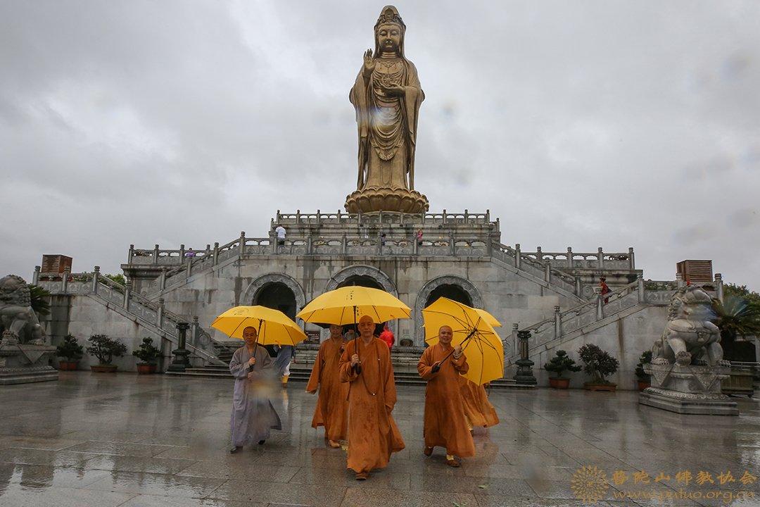 台风-会长道慈大和尚一行赴普陀山沿海寺院检查防台工作
