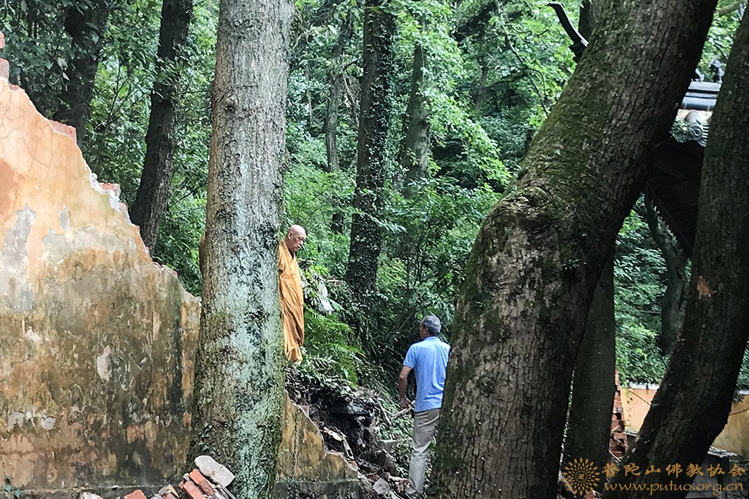 佛教-会长道慈大和尚赴常乐禅院等指导寺院基建恢复工作