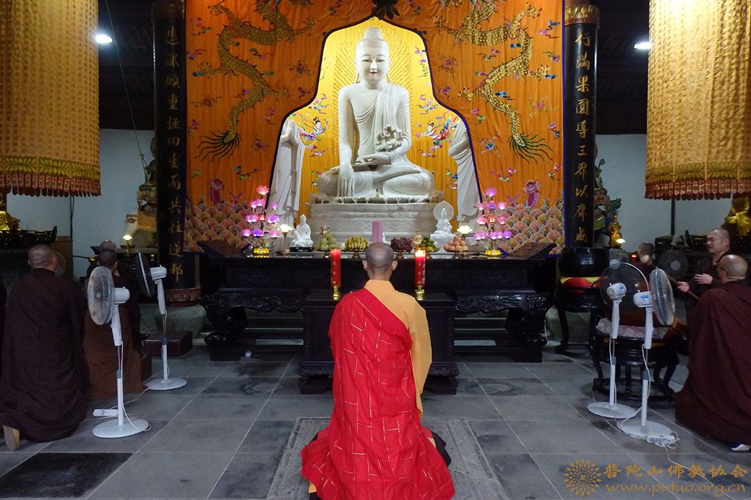 佛教-普陀山佛教协会举行庆祝新中国成立70周年祈福法会