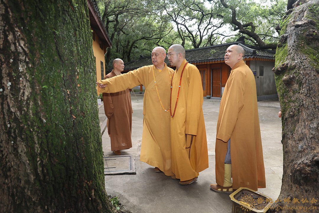 台风-会长道慈大和尚一行赴法雨禅寺等寺院查看台风影响情况