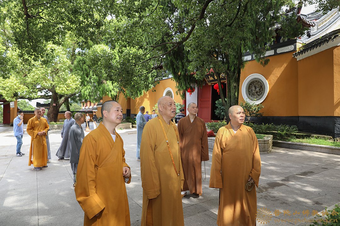 台风-会长道慈大和尚一行赴法雨禅寺等寺院查看台风影响情况