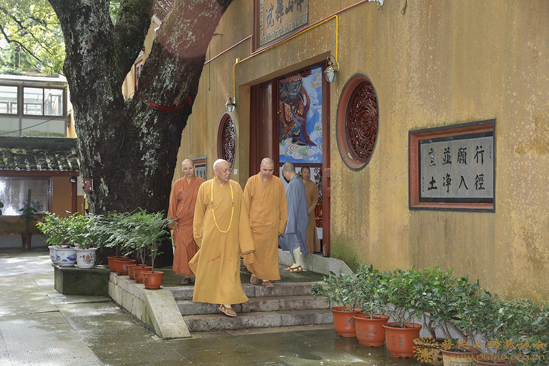 台风-会长道慈大和尚一行赴法雨禅寺等寺院查看台风影响情况