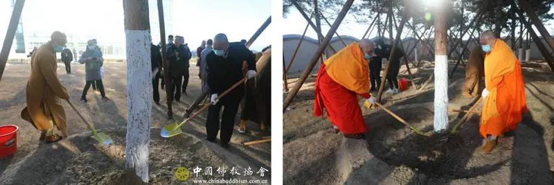 中国佛教协会-中国佛教协会新一届领导班子赴中国佛学院新校舍考察植树
