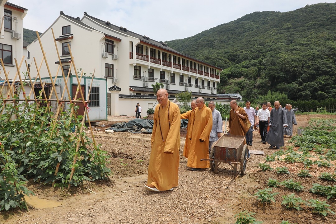 佛教-中国佛教协会副秘书长宏度法师一行参观普陀山普济农庄