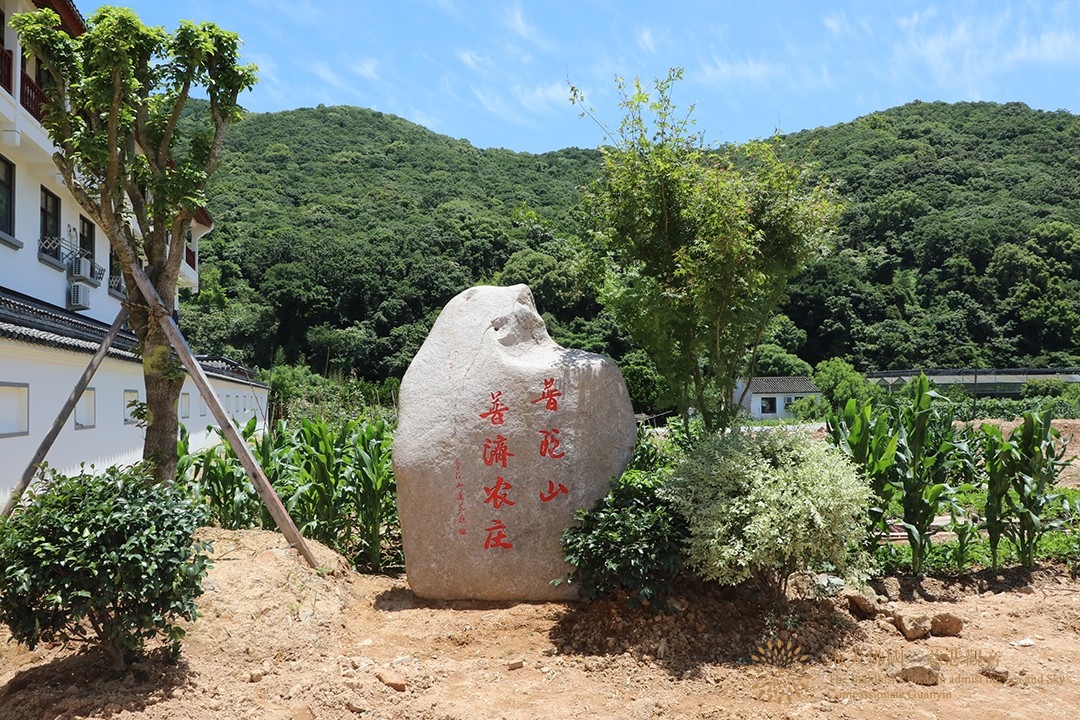 佛教-中国佛教协会副秘书长宏度法师一行参观普陀山普济农庄