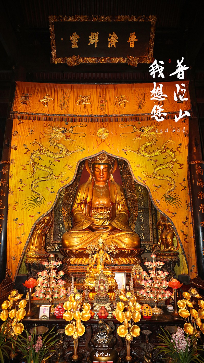 普陀山-普陀山，我想您了 ！