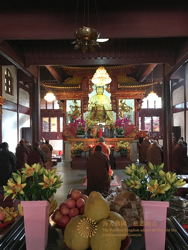 佛教-普陀山佛教协会组织全山各寺院(单位)举行抗疫祈福上供法会 佛教-普陀山佛教协会组织全山各寺院(单位)举行抗疫祈福上供法会
