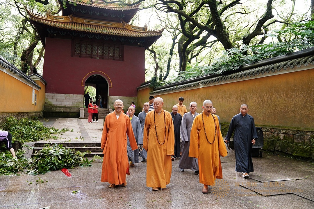 台风-会长道慈大和尚与陈宏成局长一行赴法雨禅寺等寺院查看台风影响情况