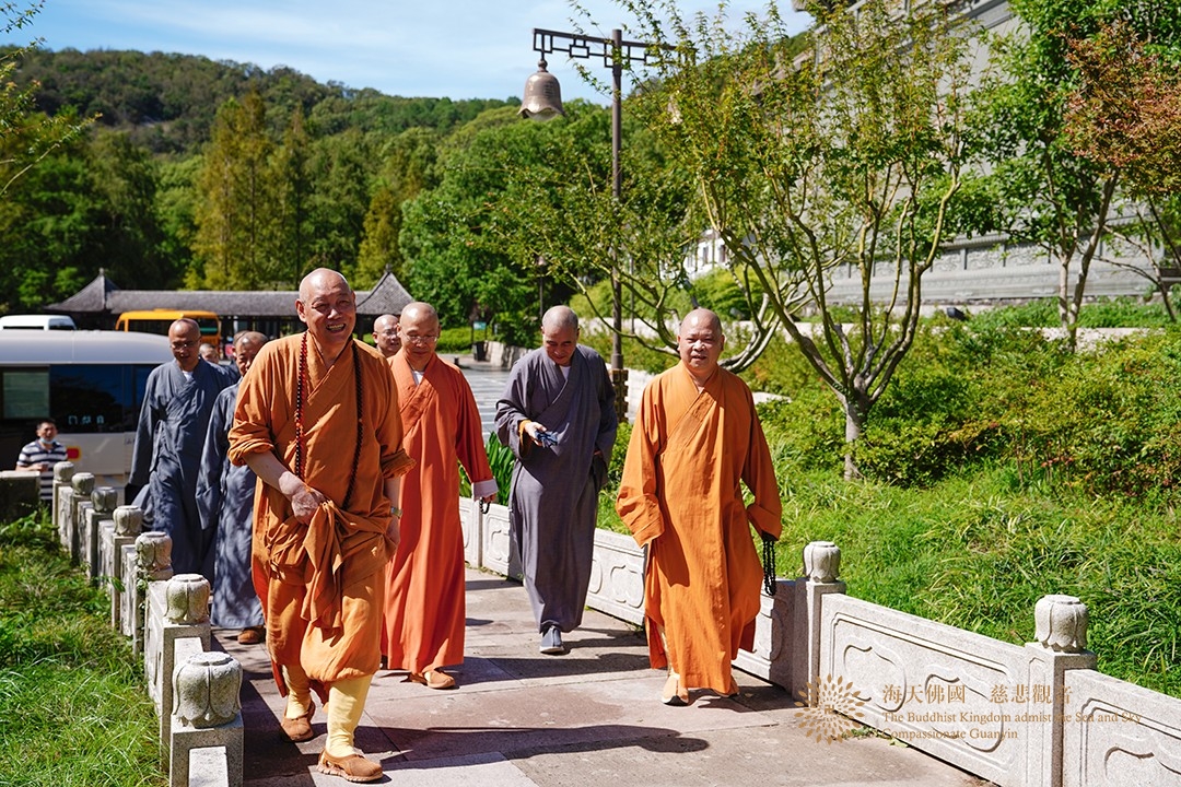 台风-会长道慈大和尚与陈宏成局长一行赴法雨禅寺等寺院查看台风影响情况
