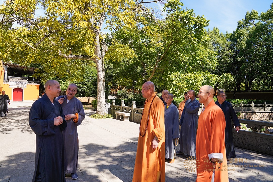 台风-会长道慈大和尚与陈宏成局长一行赴法雨禅寺等寺院查看台风影响情况